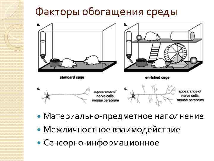 Факторы обогащения среды Материально-предметное наполнение Межличностное взаимодействие Сенсорно-информационное 