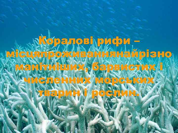 Коралові рифи – місцяпроживаннянайрізно манітніших, барвистих і численних морських тварин і рослин. 
