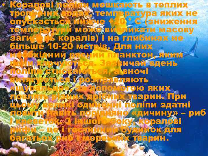  • Коралові поліпи мешкають в теплих тропічних водах, температура яких не опускається нижче