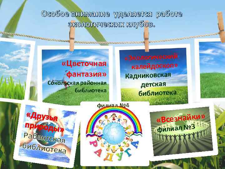 Особое внимание уделяется работе экологических клубов. «Цветочная фантазия» Сокольская районная библиотека «Друзья природы »