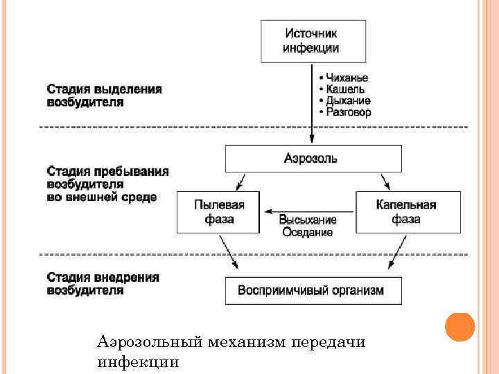 Аэрозольный механизм передачи инфекции 