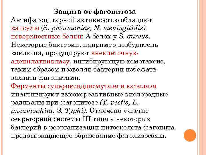 Защита от фагоцитоза Антифагоцитарной активностью обладают капсулы (S. pneumoniae, N. meningitidis), поверхностные белки: А