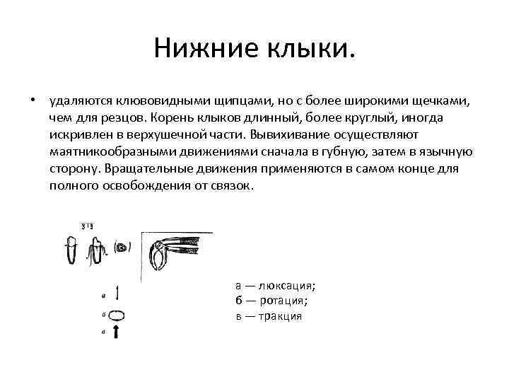 Нижние клыки. • удаляются клювовидными щипцами, но с более широкими щечками, чем для резцов.