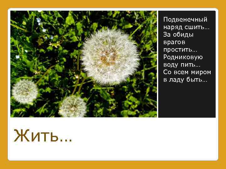 Подвенечный наряд сшить… За обиды врагов простить… Родниковую воду пить… Со всем миром в