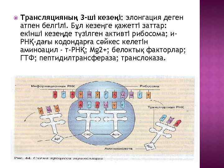 Элонгация резервных коронок.