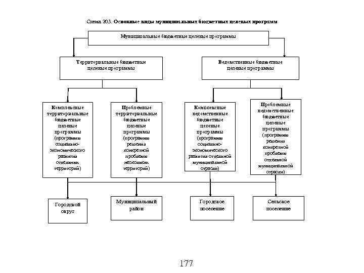 Схема 203. Основные виды муниципальных бюджетных целевых программ Муниципальные бюджетные целевые программы Территориальные бюджетные