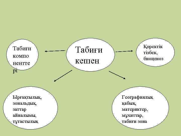 Табиғи компо нентте рі Ырғақтылық, зональдық, заттар айналымы, тұтастылық Табиғи кешен Қоректік тізбек, биоценоз