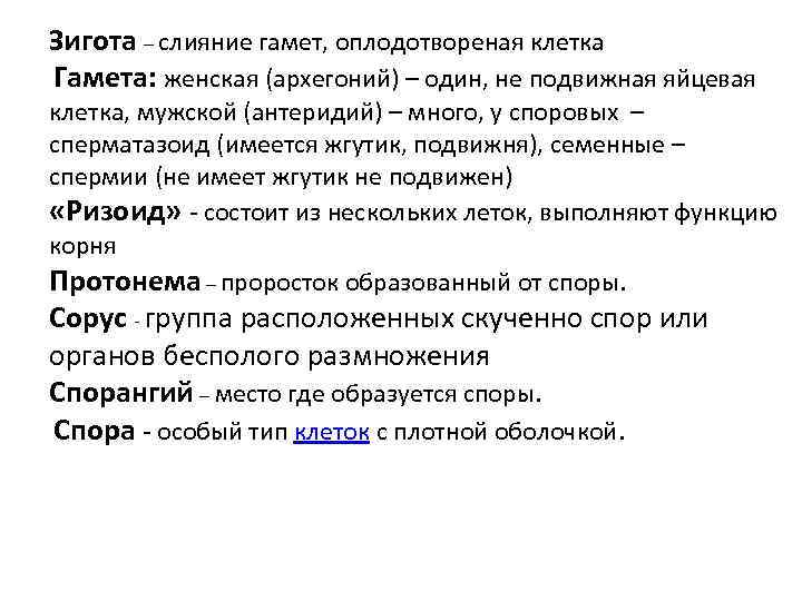 Зигота – слияние гамет, оплодотвореная клетка Гамета: женская (архегоний) – один, не подвижная яйцевая