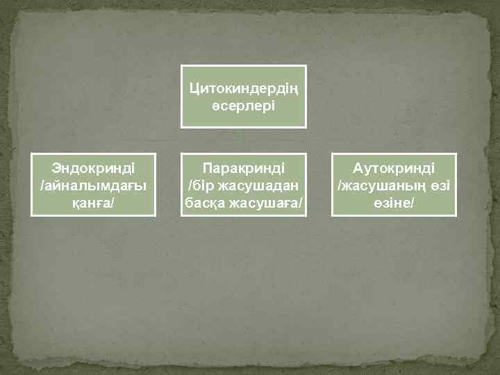 Цитокиндердің әсерлері Эндокринді /айналымдағы қанға/ Паракринді /бір жасушадан басқа жасушаға/ Аутокринді /жасушаның өзіне/ 