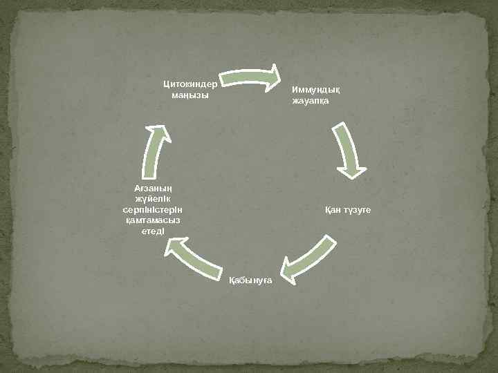 Цитокиндер маңызы Иммундық жауапқа Ағзаның жүйелік серпіністерін қамтамасыз етеді Қан түзуге Қабынуға 