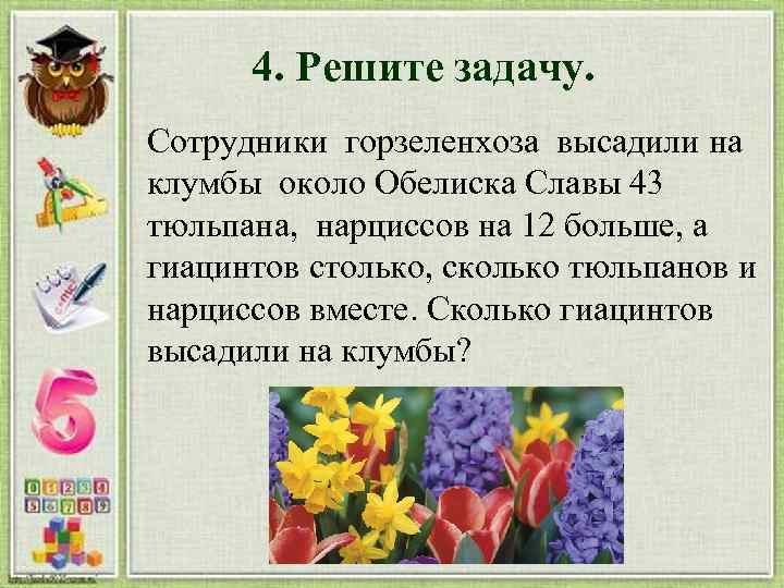 4. Решите задачу. Сотрудники горзеленхоза высадили на клумбы около Обелиска Славы 43 тюльпана, нарциссов