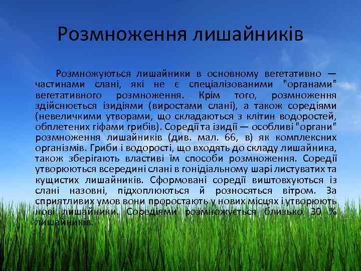 Розмноження лишайників Розмножуються лишайники в основному вегетативно — частинами слані, які не є спеціалізованими