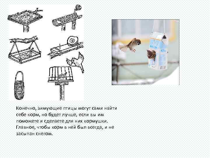 Конечно, зимующие птицы могут сами найти себе корм, но будет лучше, если вы им