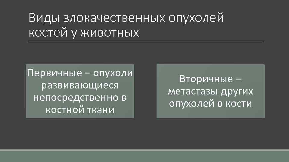 Виды злокачественных опухолей костей у животных Первичные – опухоли развивающиеся непосредственно в костной ткани