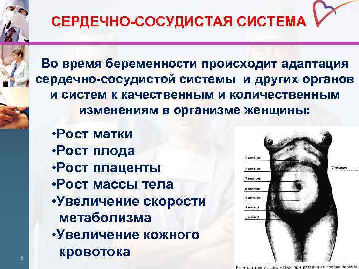 Беременность на фоне экстрагенитальной патологии