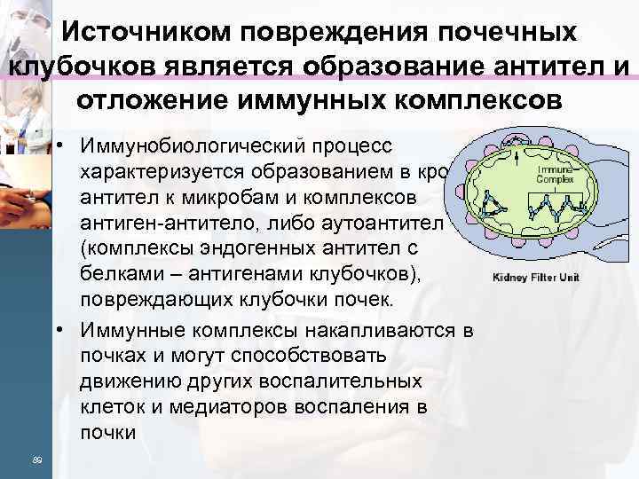 Источником повреждения почечных клубочков является образование антител и отложение иммунных комплексов • Иммунобиологический процесс