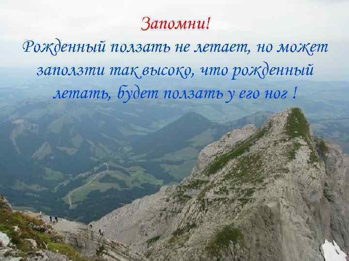 Запомни! Рожденный ползать не летает, но может заползти так высоко, что рожденный летать, будет