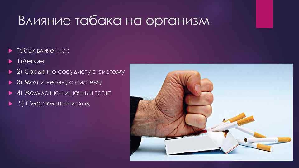 Влияние табака на организм Табак влияет на : 1)Легкие 2) Сердечно-сосудистую систему 3) Мозг