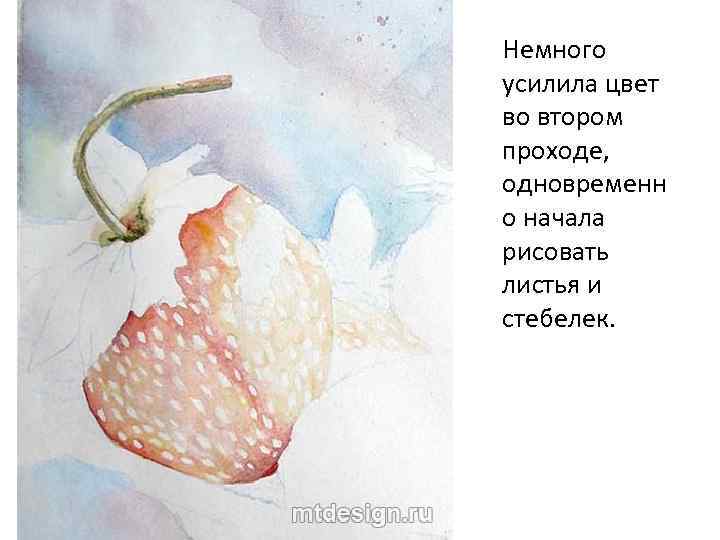 Немного усилила цвет во втором проходе, одновременн о начала рисовать листья и стебелек. 