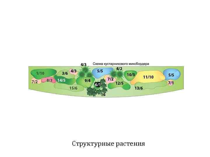 Карта корпусов ргау мсха