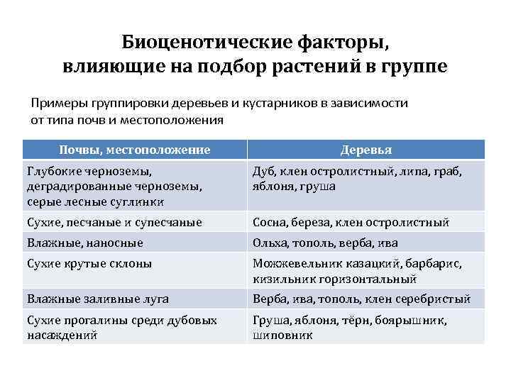 Биоценотические факторы, влияющие на подбор растений в группе Примеры группировки деревьев и кустарников в