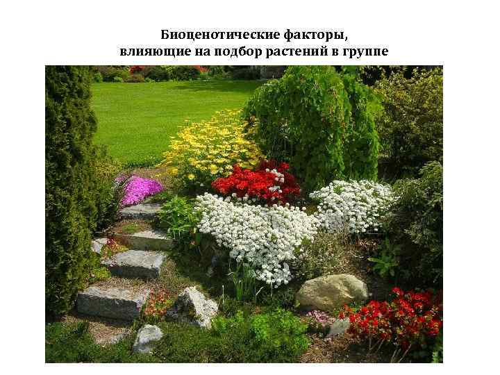 Биоценотические факторы, влияющие на подбор растений в группе 