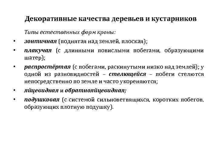 Декоративные качества деревьев и кустарников Типы естественных форм кроны: • • зонтичная (поднятая над