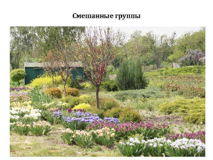 Смешанные группы 