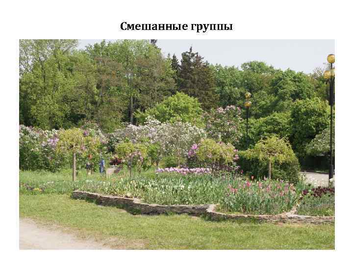 Смешанные группы 