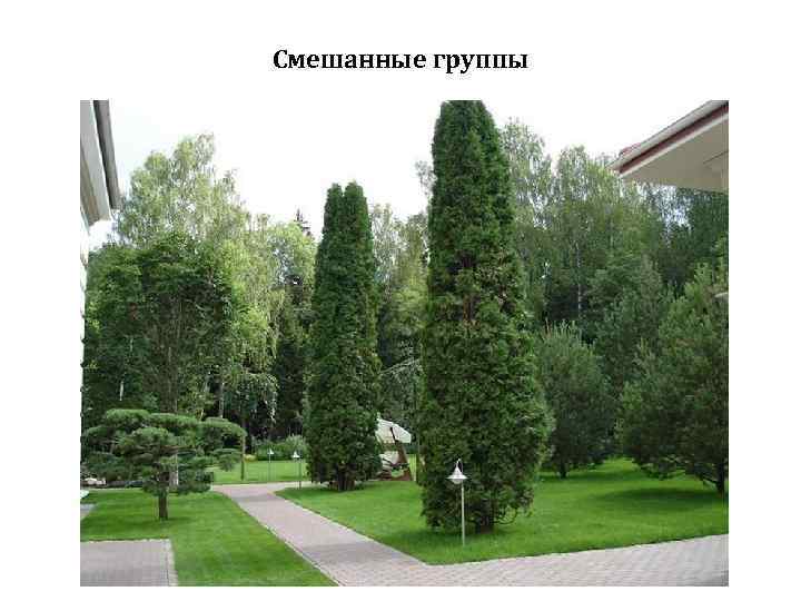 Смешанные группы 