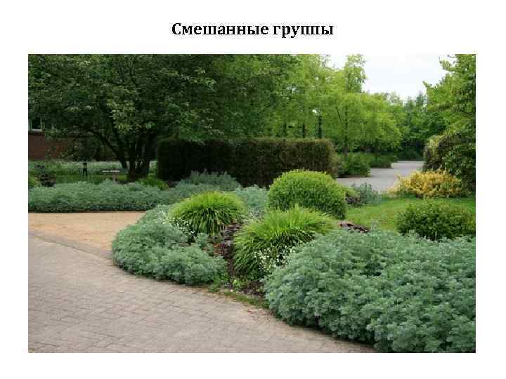 Смешанные группы 