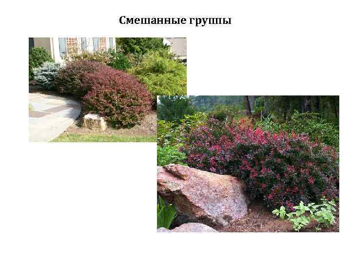 Смешанные группы 