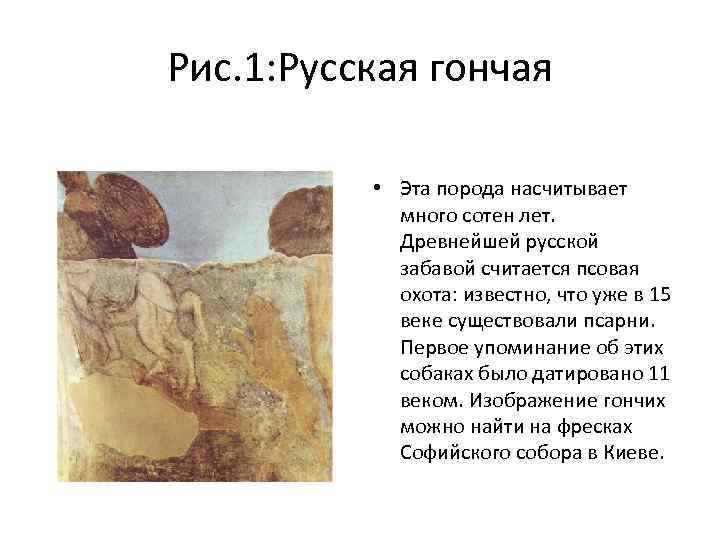 Рис. 1: Русская гончая • Эта порода насчитывает много сотен лет. Древнейшей русской забавой