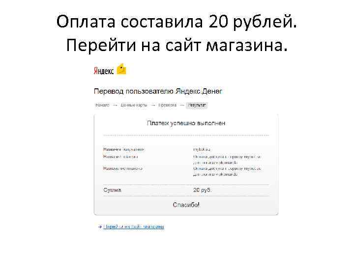 Оплата составила 20 рублей. Перейти на сайт магазина. 