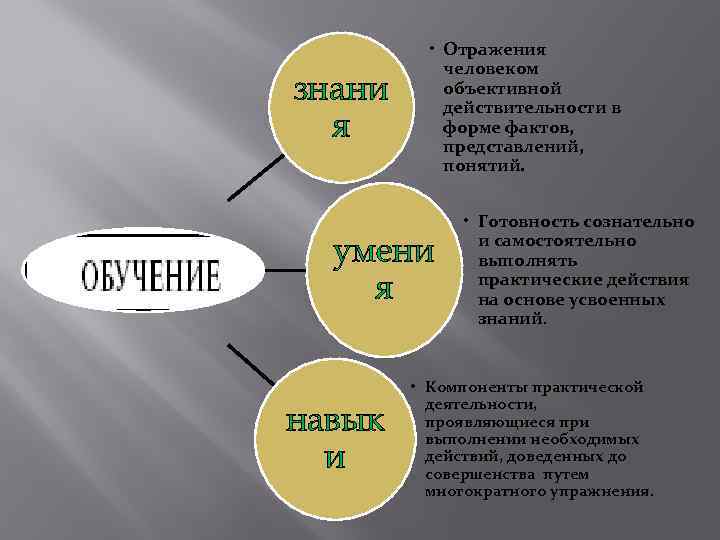 знани я • Отражения человеком объективной действительности в форме фактов, представлений, понятий. умени я