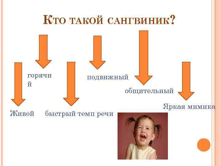 КТО ТАКОЙ САНГВИНИК? горячи й Живой подвижный быстрый темп речи общительный Яркая мимика 