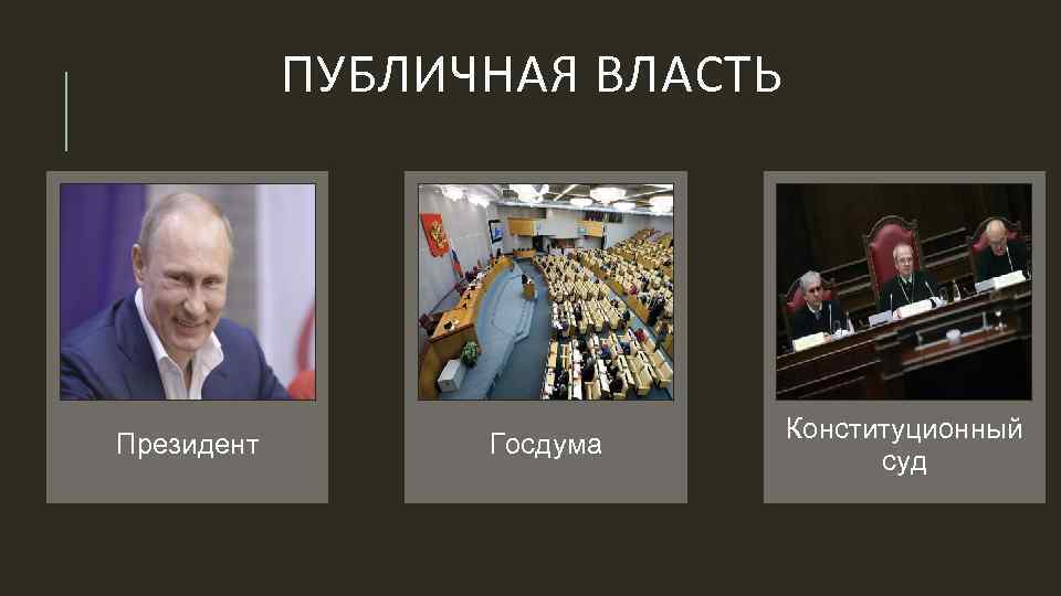 Органы общественной власти. Публичная власть это. Публичный характер власти это. Публичная власть президента. Пбултчная прищидентская влаать.