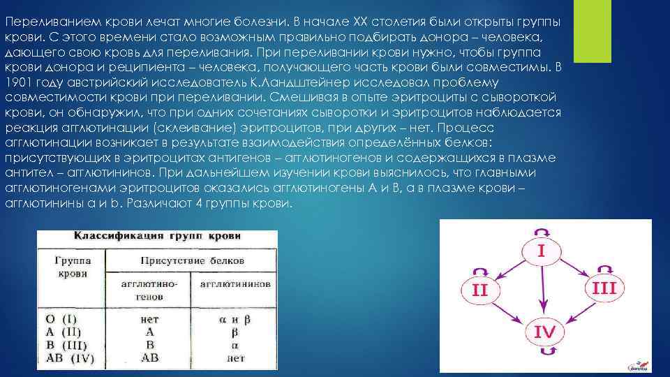 Переливанием крови лечат многие болезни. В начале ХХ столетия были открыты группы крови. С