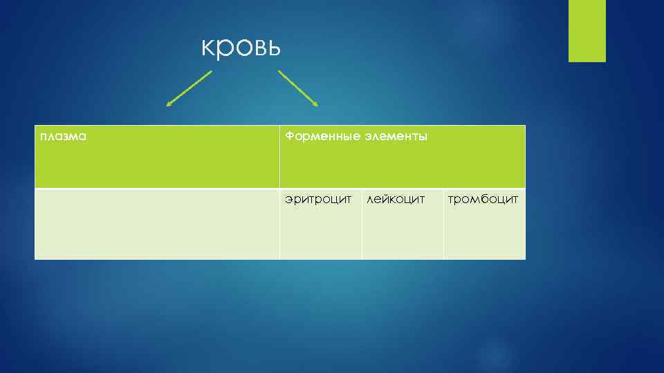 кровь плазма Форменные элементы эритроцит лейкоцит тромбоцит 