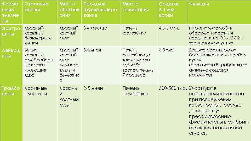 Форме Строение нный клетки элемен ты Место Продолж. образов функциониро ания вания Место отмирания