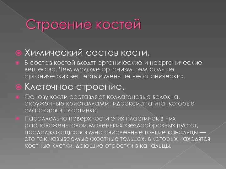 Органическая составляющая кости. Химический состав и строение костей. Химический состав скелета.