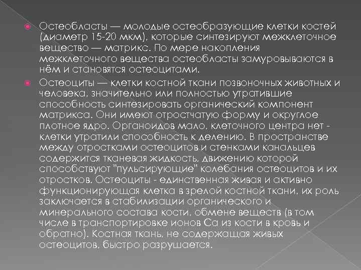 Остеобласты — молодые остеобразующие клетки костей (диаметр 15 -20 мкм), которые синтезируют межклеточное вещество