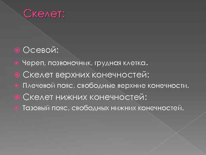 Скелет: Осевой: Череп, позвоночник, грудная клетка. Скелет верхних конечностей: Плечевой пояс, свободные верхние конечности.