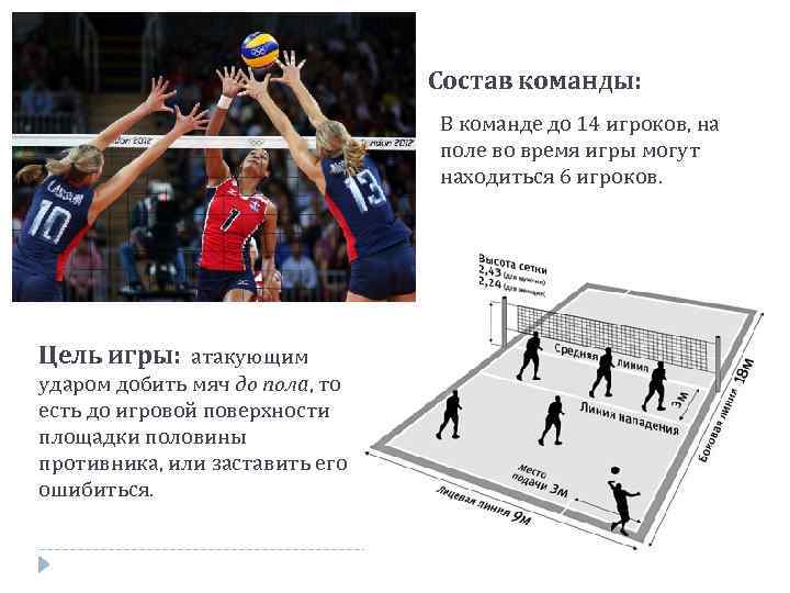 Состав команды: В команде до 14 игроков, на поле во время игры могут находиться