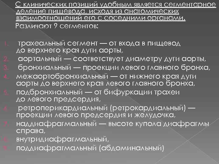 С клинических позиций удобным является сегментарное деление пищевода, исходя из анатомических взаимоотношений его с