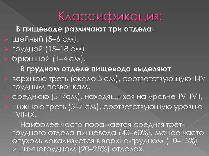 Классификация: Ø Ø Ø В пищеводе различают три отдела: шейный (5– 6 см), грудной