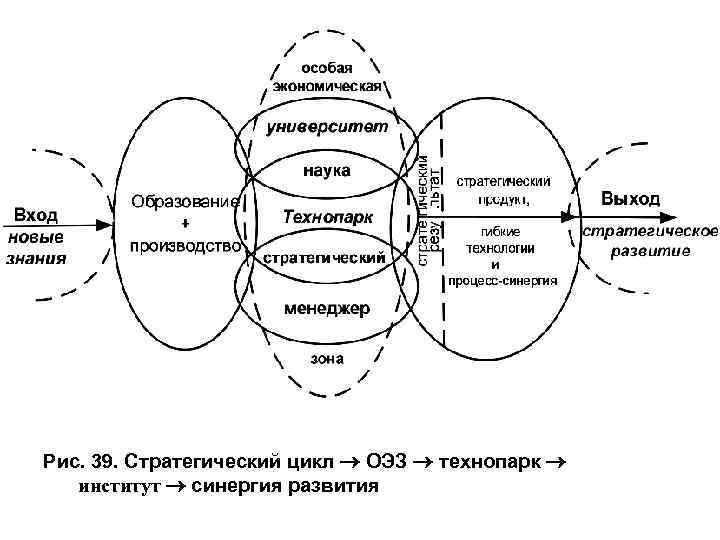 Рис. 39. Стратегический цикл ОЭЗ технопарк институт синергия развития 