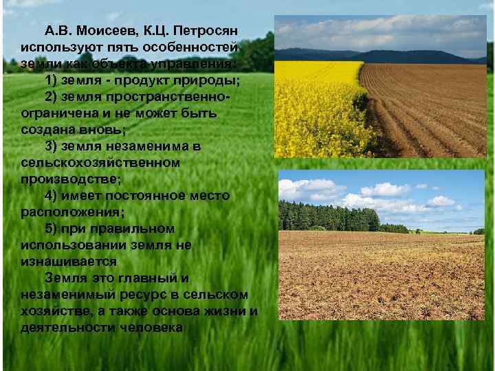 А. В. Моисеев, К. Ц. Петросян используют пять особенностей земли как объекта управления: 1)