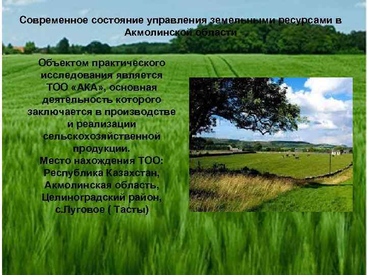 Современное состояние управления земельными ресурсами в Акмолинской области Объектом практического исследования является ТОО «АКА»