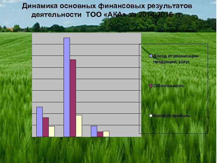 Динамика основных финансовых результатов деятельности ТОО «АКА» за 2014 -2016 гг. Доход от реализации